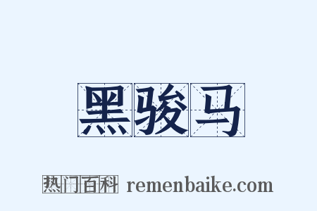 黑骏马是什么意思的图片